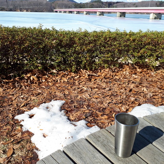 20190224_134110.jpg