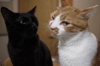 couple3.jpg